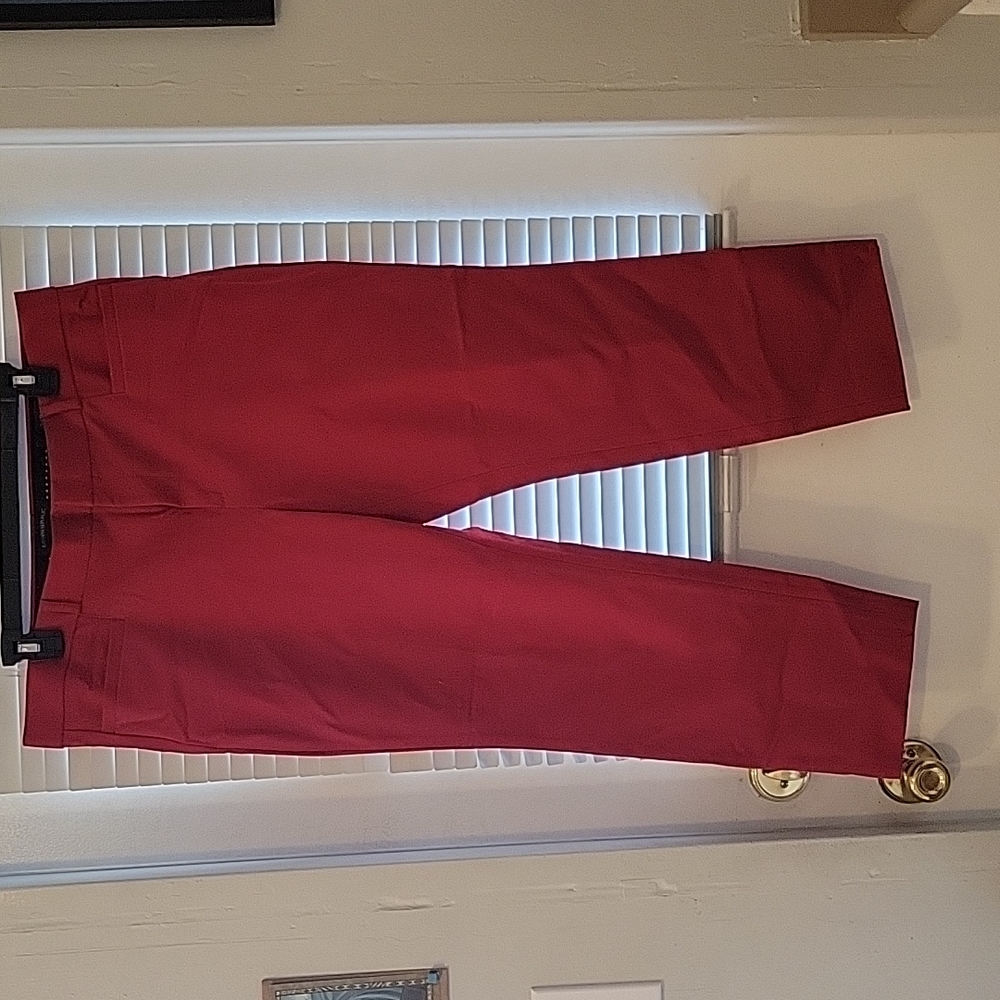 Red Banana Republic Sloan Pants